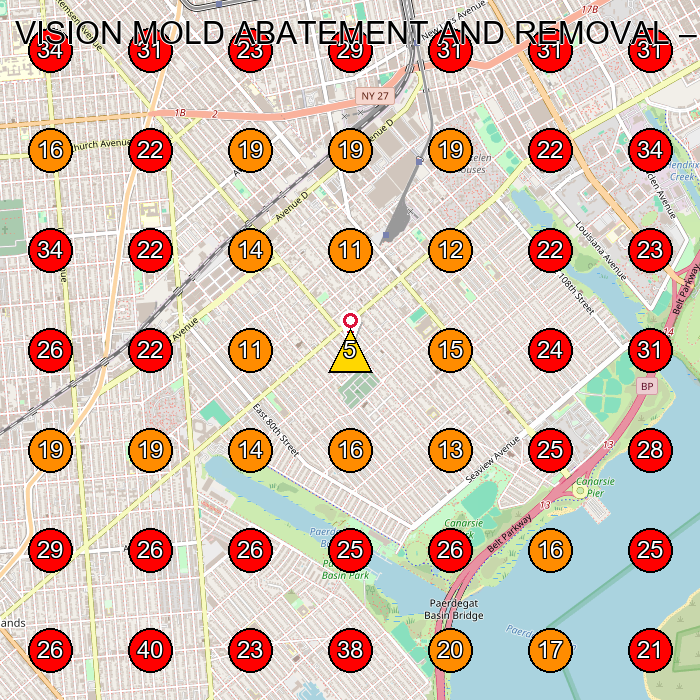 VISION MOLD ABATEMENT AND REMOVAL GeoGrid visibility map for Water Damage Restoration Service in None